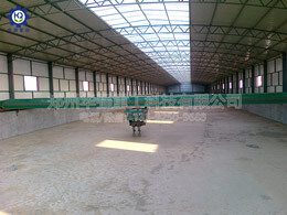 新型有機肥濕法造?，F(xiàn)場